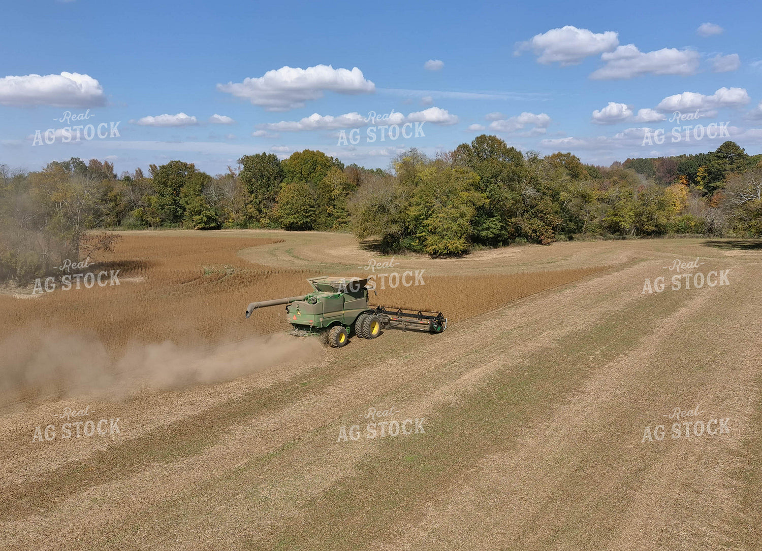 Soybean Harvest 79166