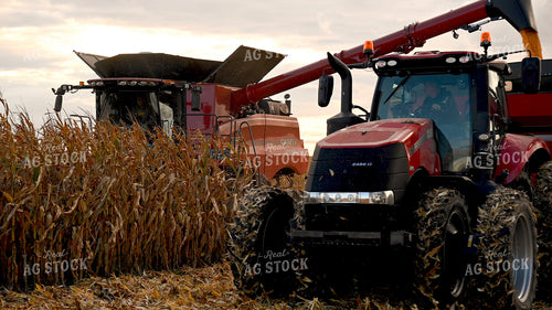 Combine Unloading Corn into Auger Wagon on the Go 25650