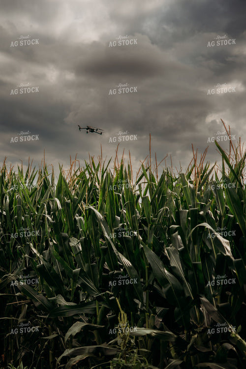 Scouting Fields With Drone 196351