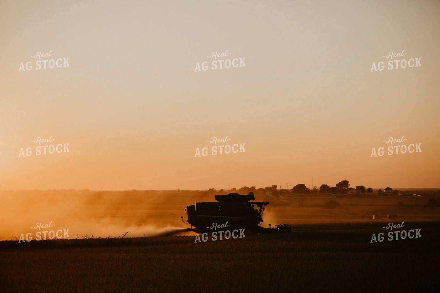 Harvest 2599