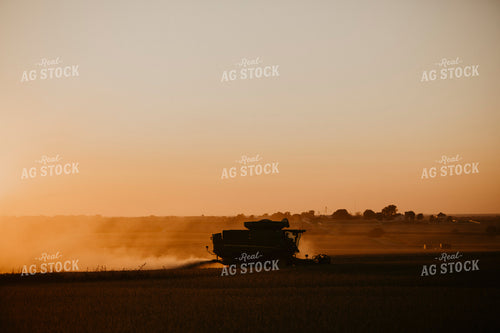 Harvest 2599