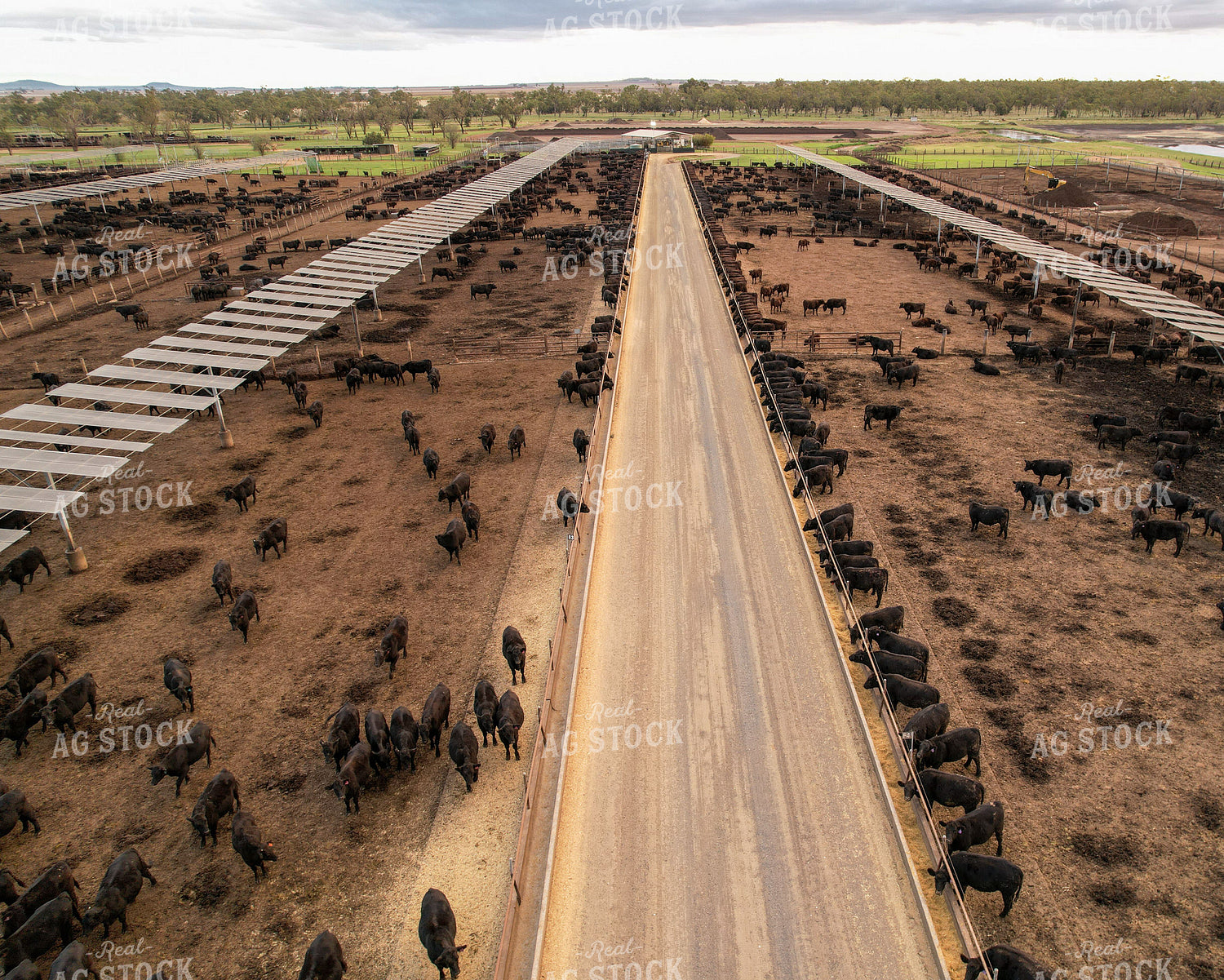 Aerial of Feedyard 261084