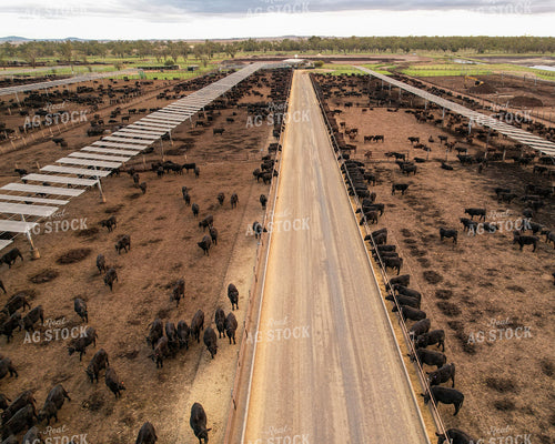 Aerial of Feedyard 261084