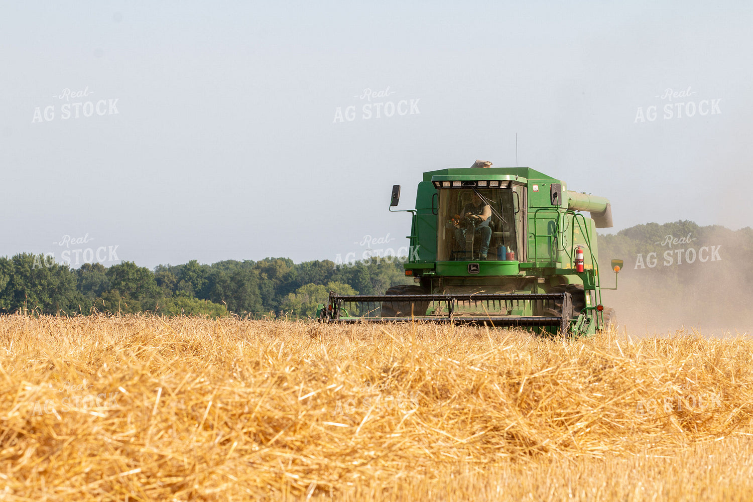 Wheat Harvest 157197