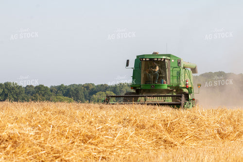 Wheat Harvest 157197