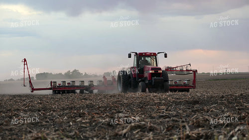 Planting 302037