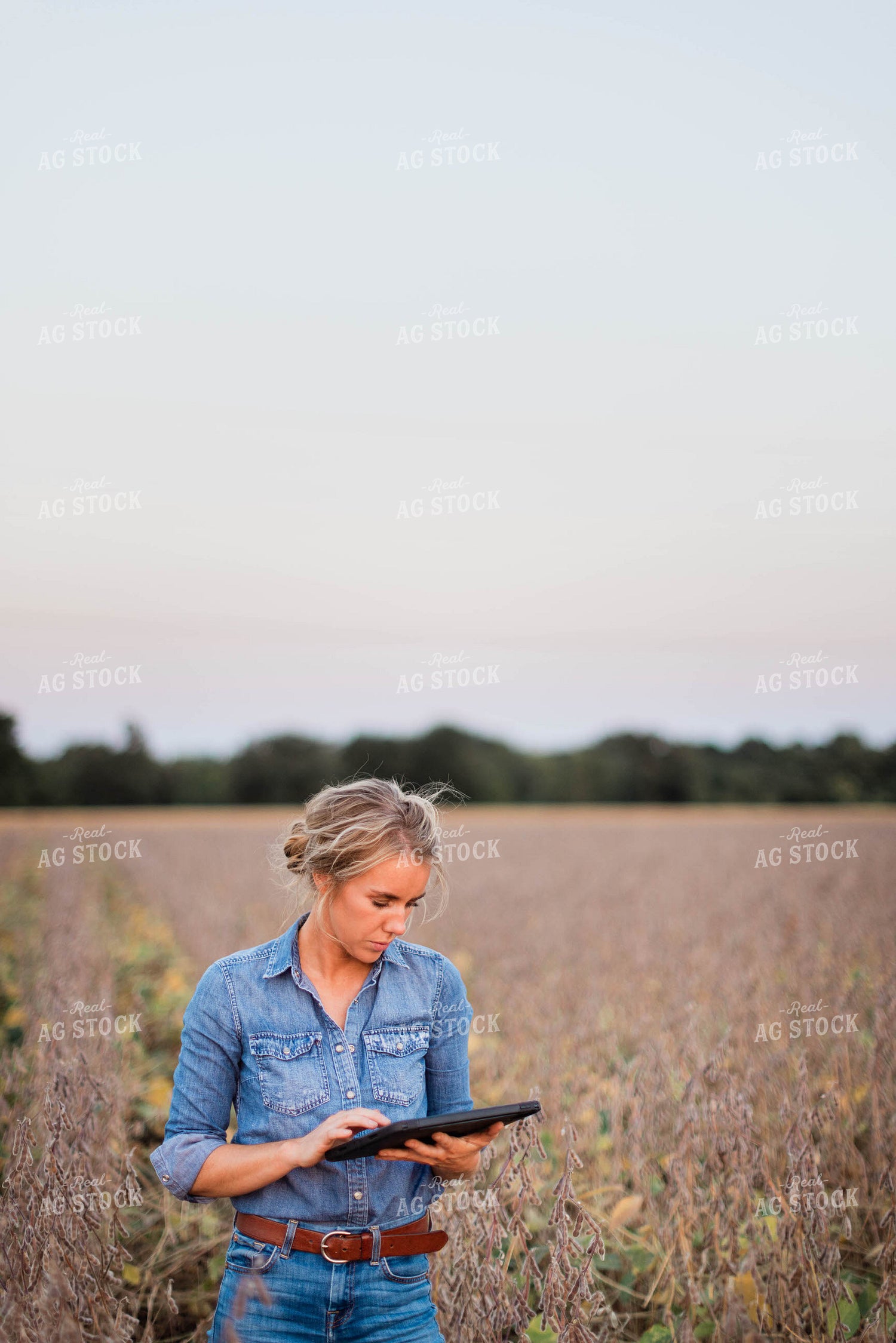 Female Farmer on Tablet in Field 8369