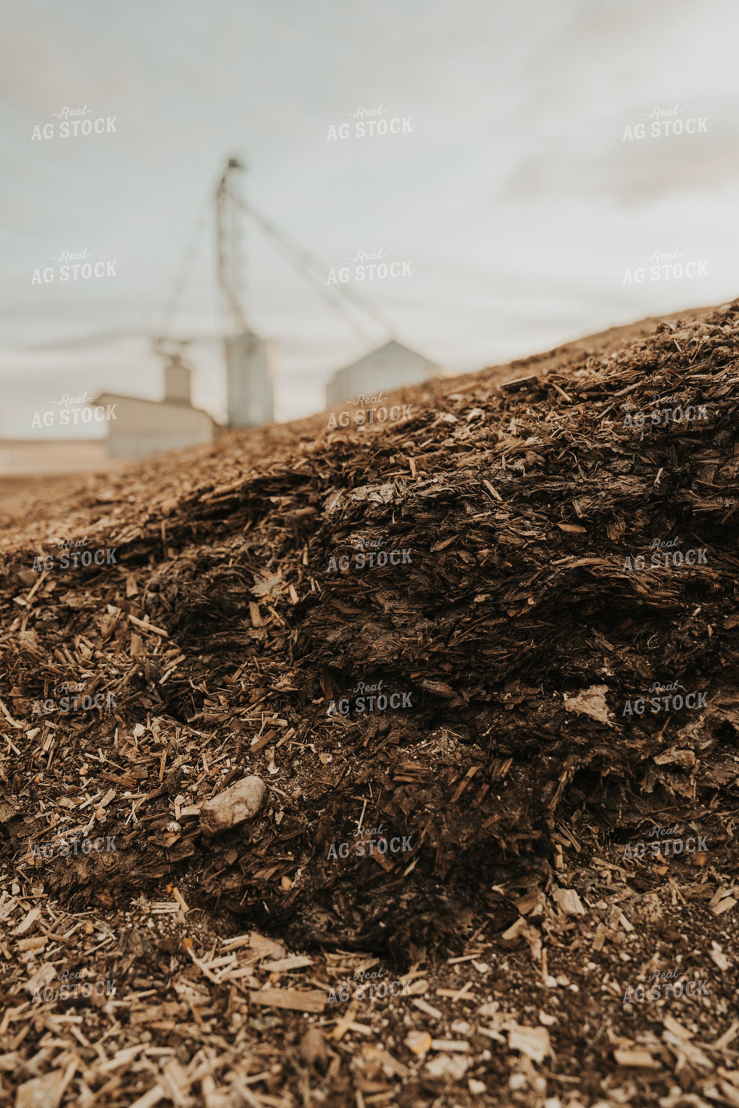 Uncovered Silage Pile 61272