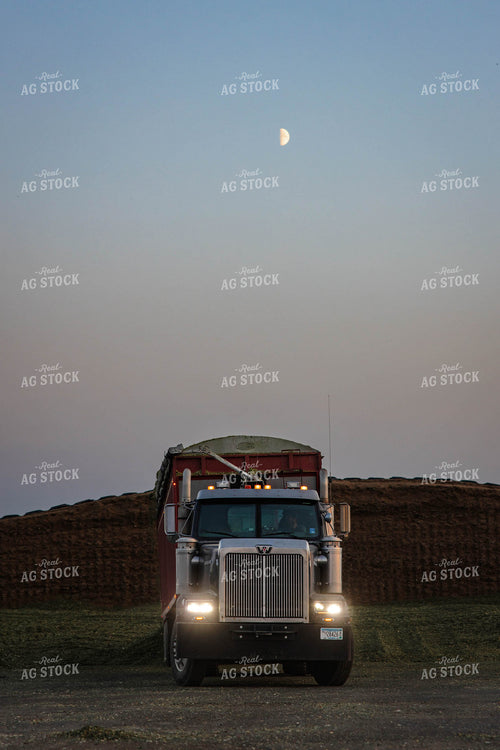 Storing Corn Silage 152524
