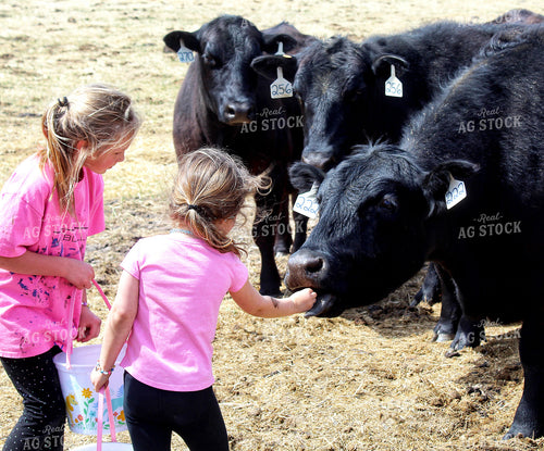 Farm Kids Feeding Pellets 141269