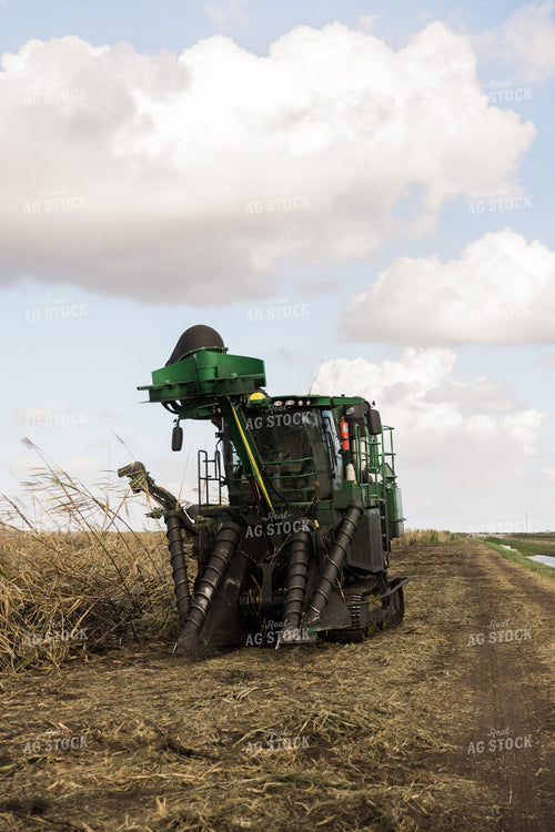 Sugar Cane Harvester 7361