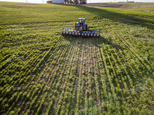 Planting into Cover Crop 268318