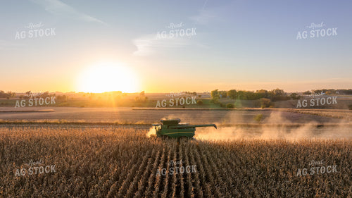 Corn Harvest 274003