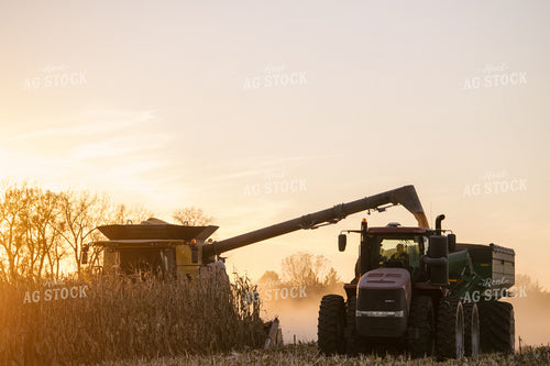 Combine Unloading into Grain Cart at Sunset 70047