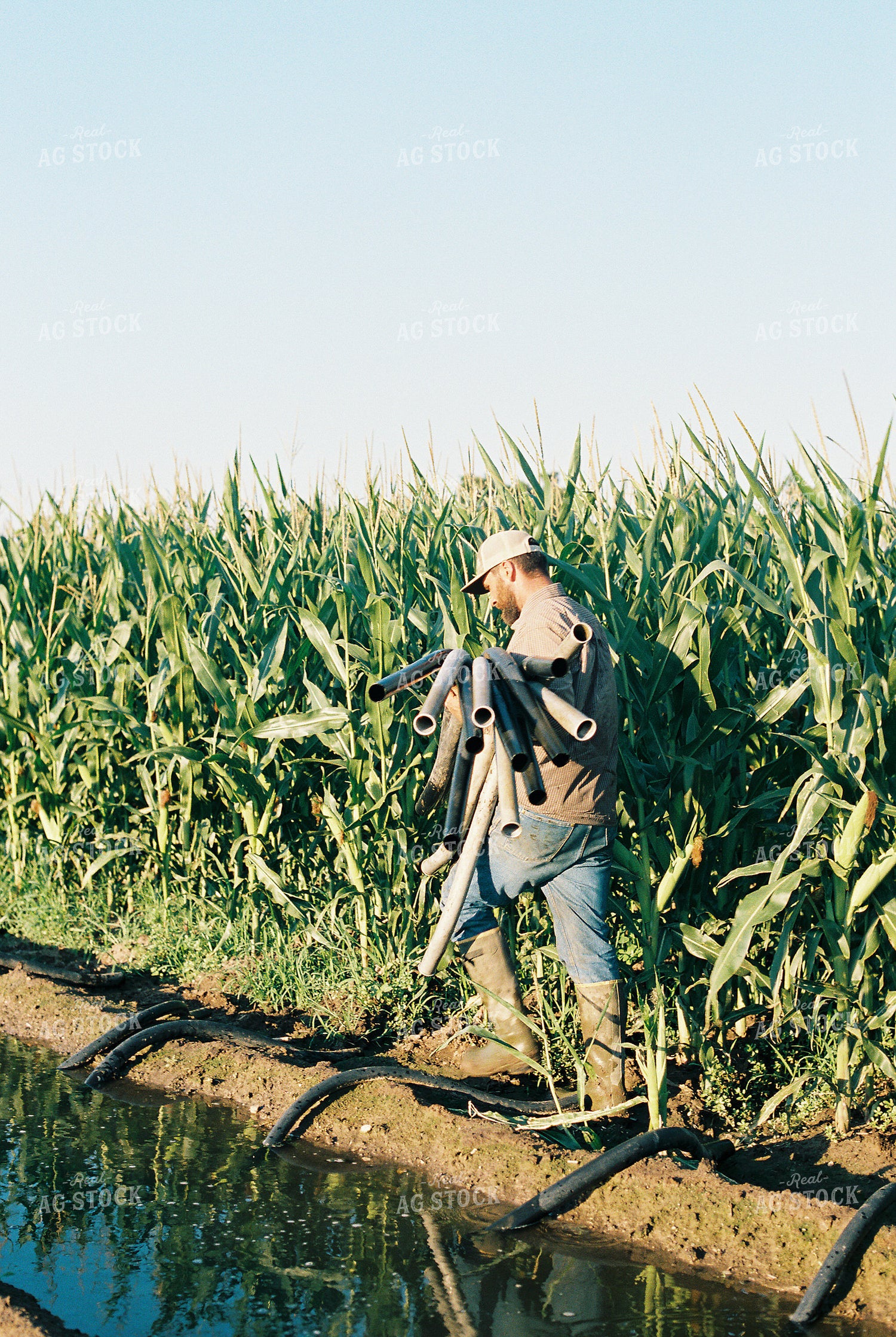 Farmer with Irrigation Ditch 53079