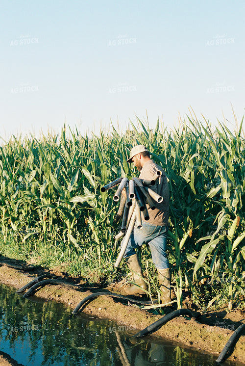 Farmer with Irrigation Ditch 53079