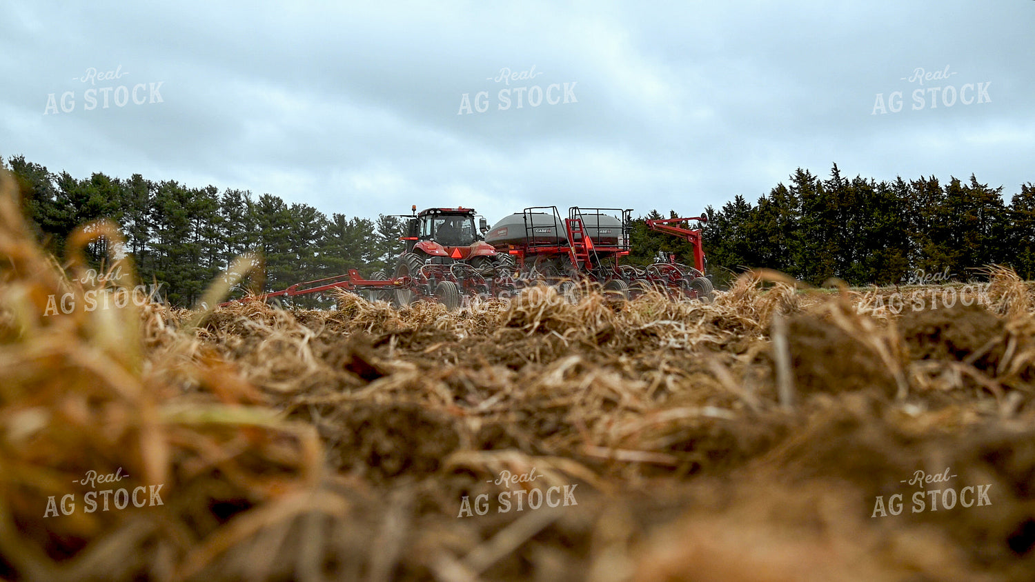 Planting into Tilled Cover Crops 25140
