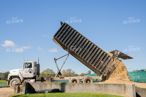 Farmer Unloading Trailer 142011