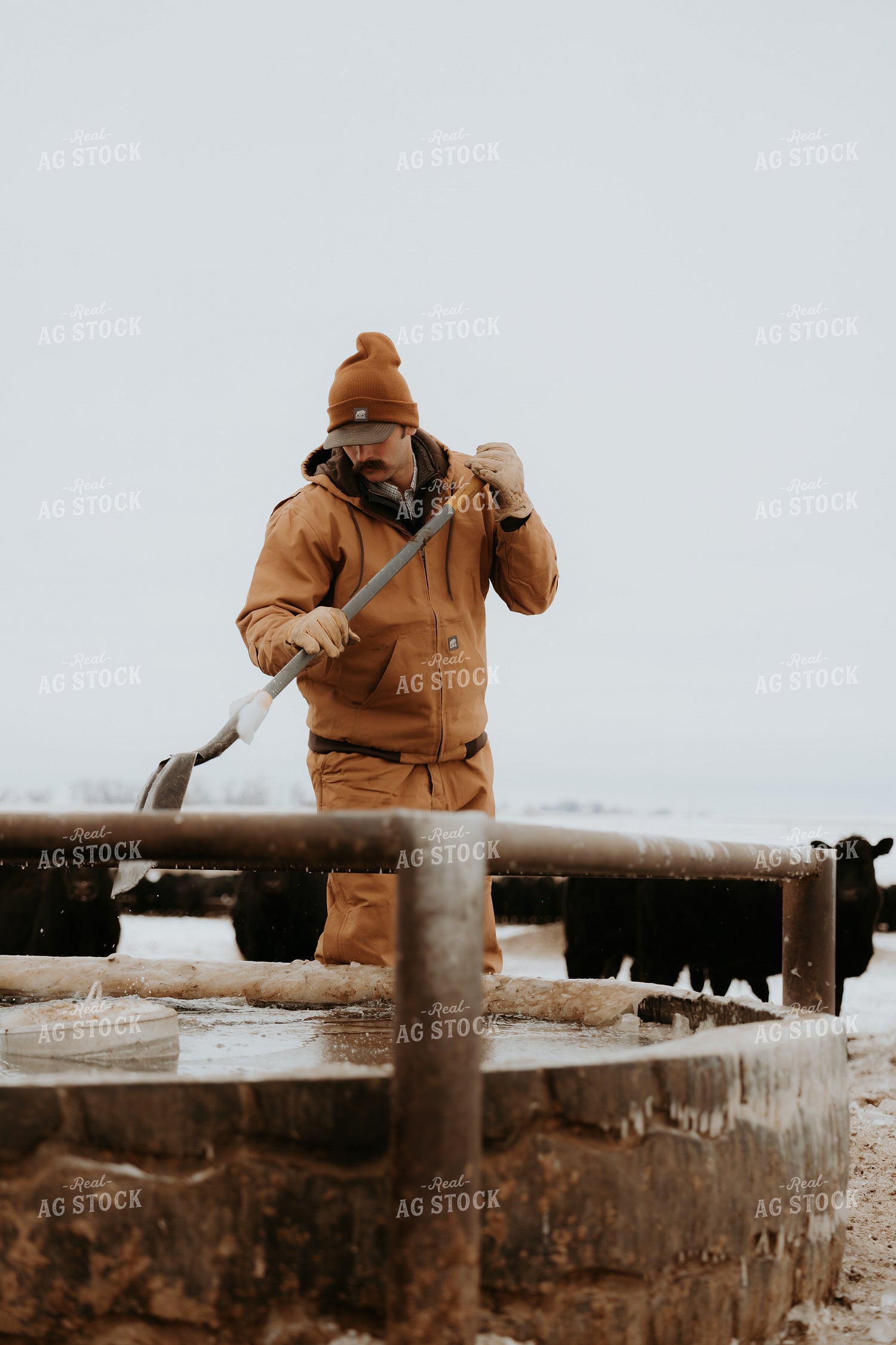 Rancher Breaking Up Water Trough 61229