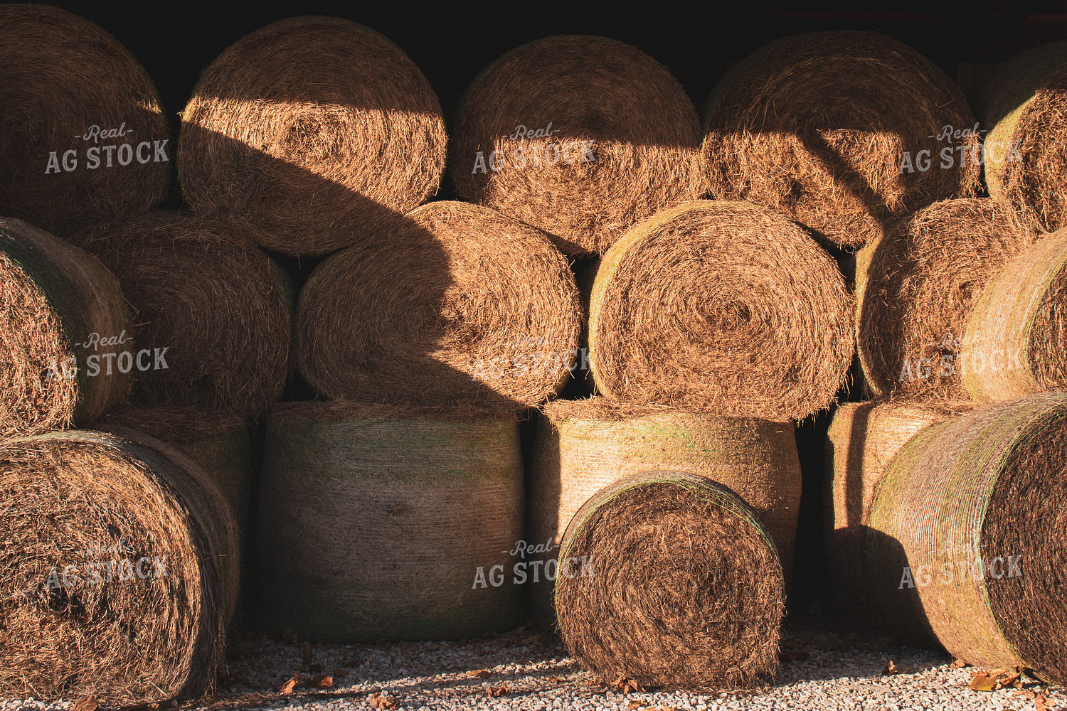 Stacked Round Hay Bales 67053