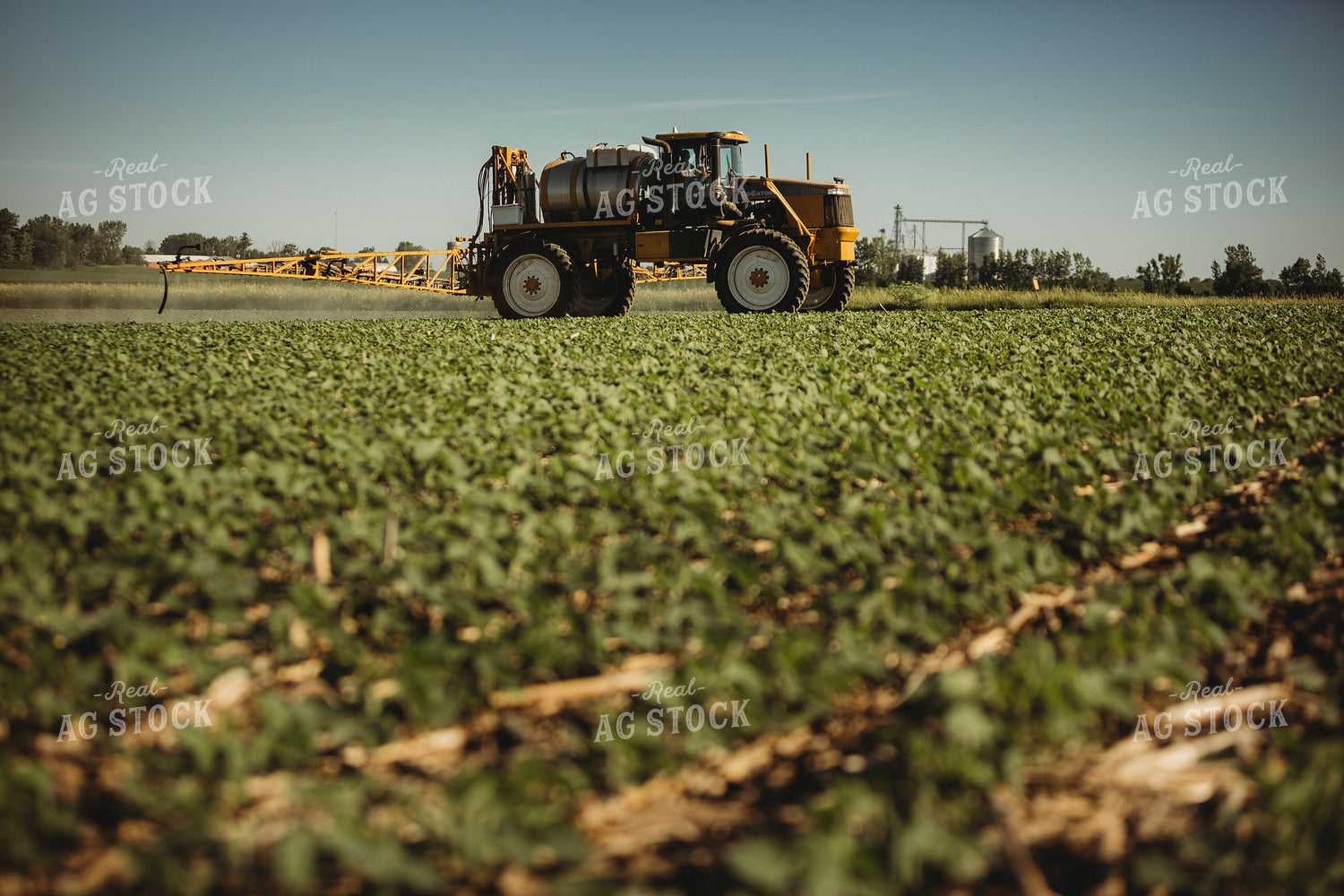 Spraying Soybeans 4360