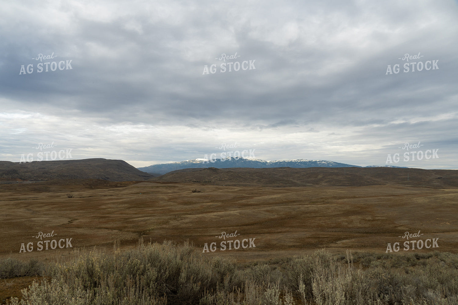 Ranch Scene 65582