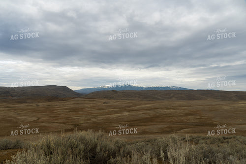 Ranch Scene 65582