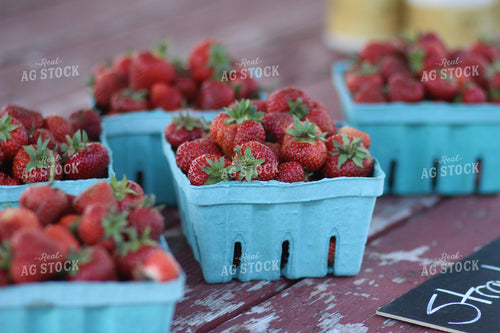 Strawberries in Punnet 73007