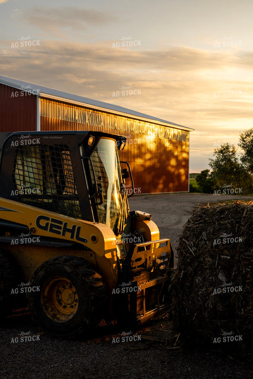 Skidloader Moving Stalk Bales 305016