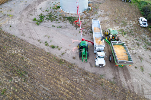 Unloading Harvested Corn 65965
