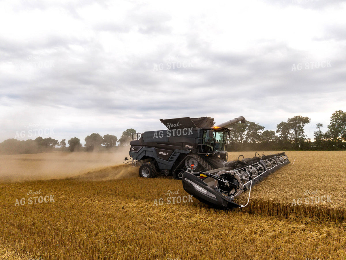 Wheat Harvest 115977