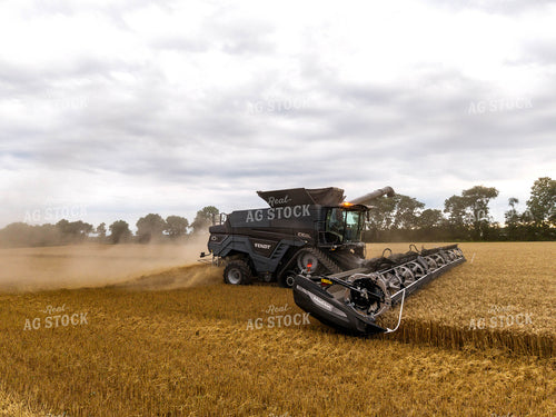 Wheat Harvest 115977
