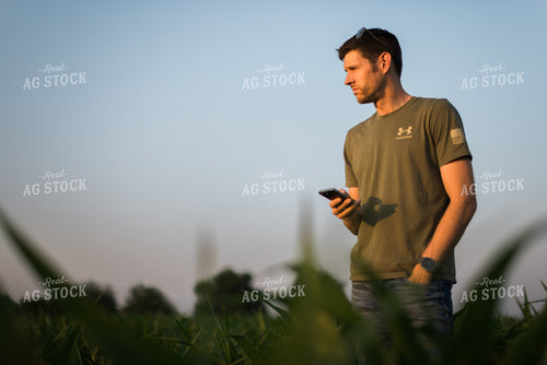 Young Farmer Using Phone in Corn Field 8167