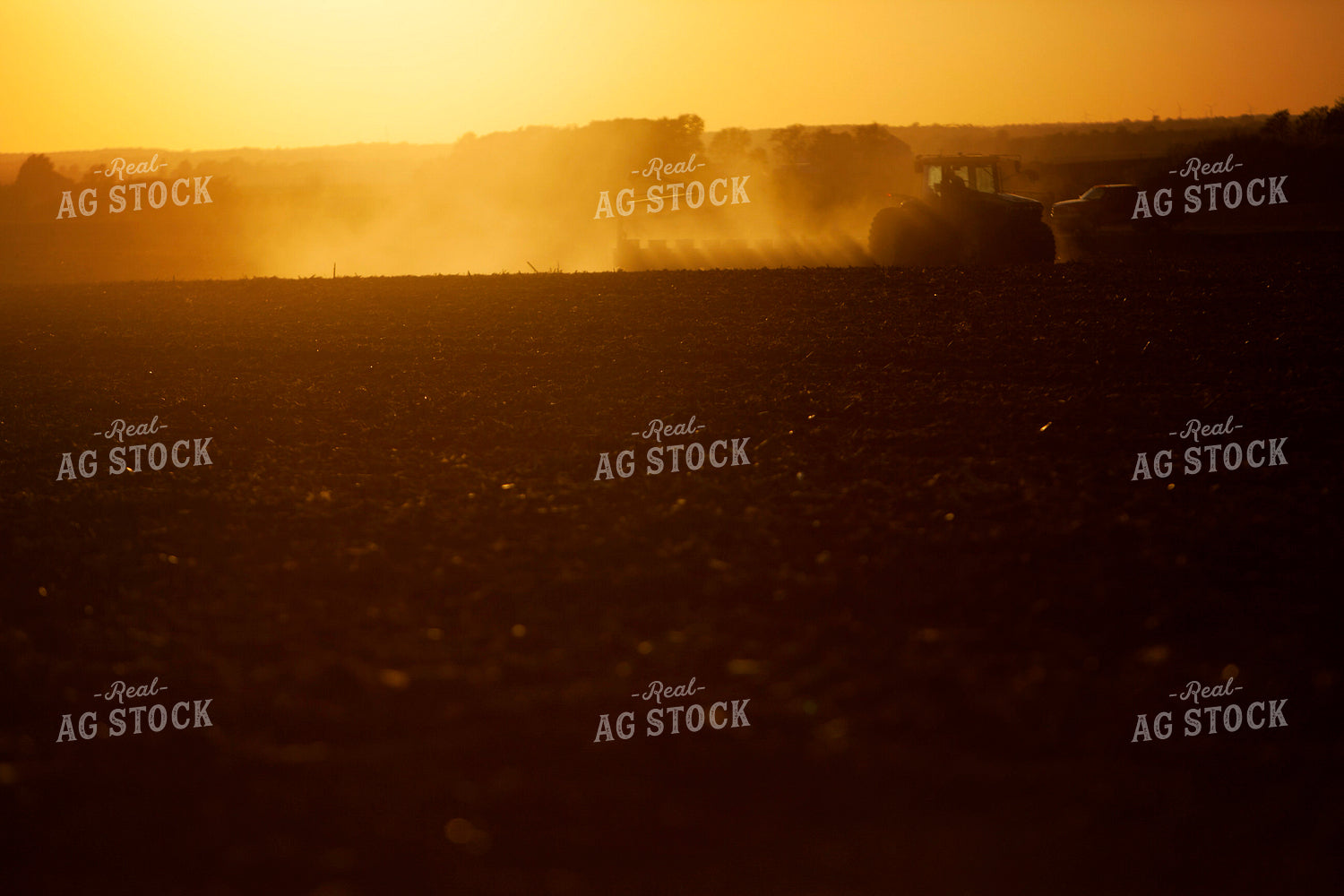 Planting 1975