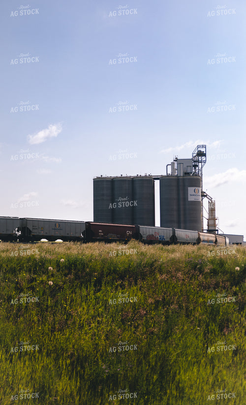 Grain Terminal 238005