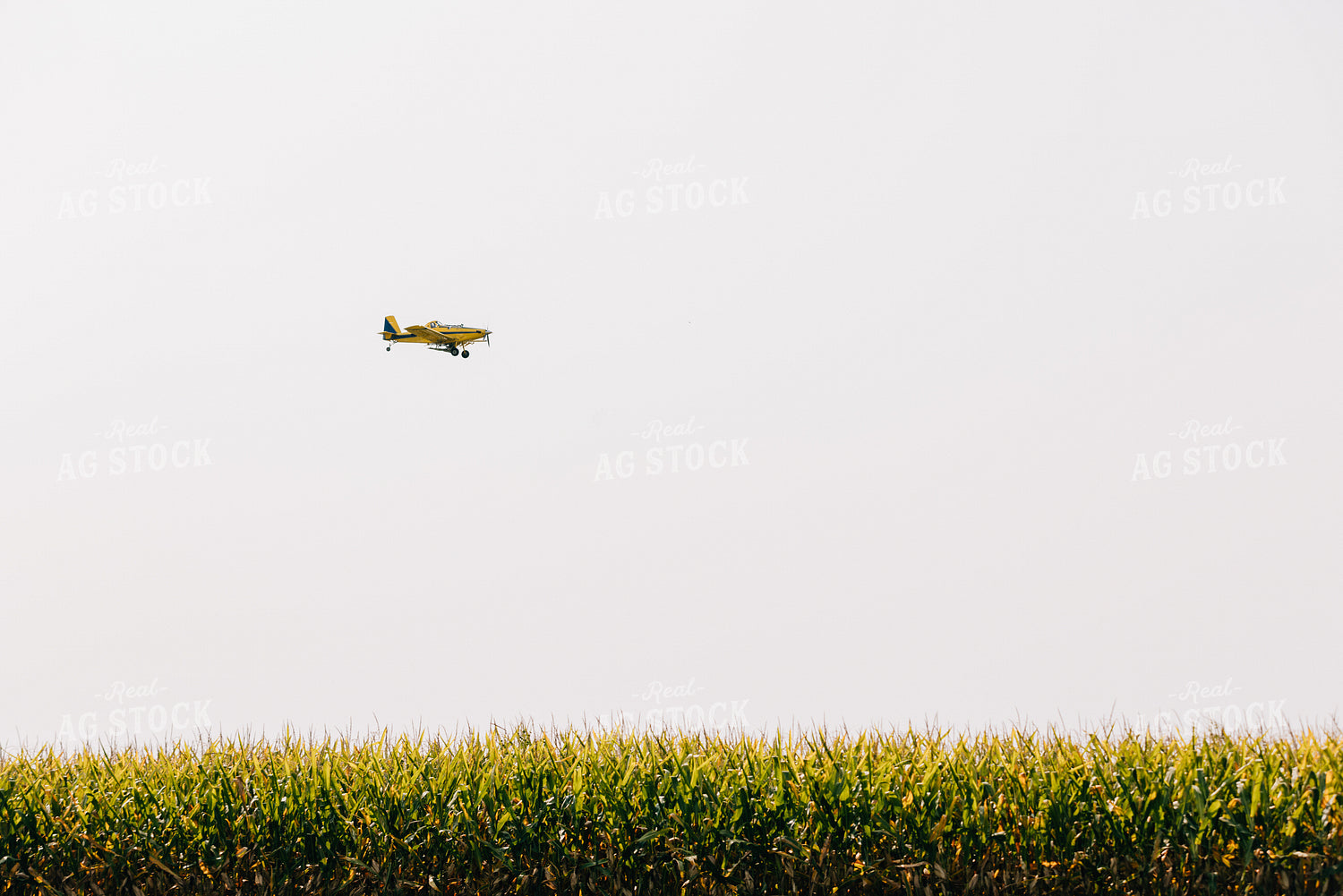 Crop Duster 178078