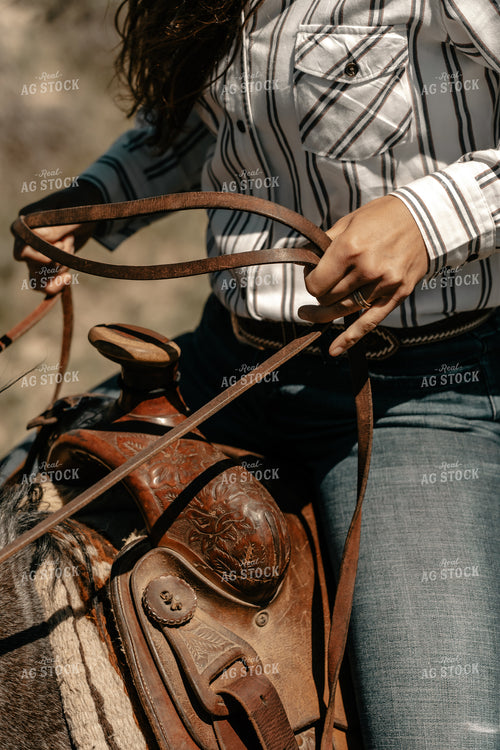 Saddle of Horse 58194