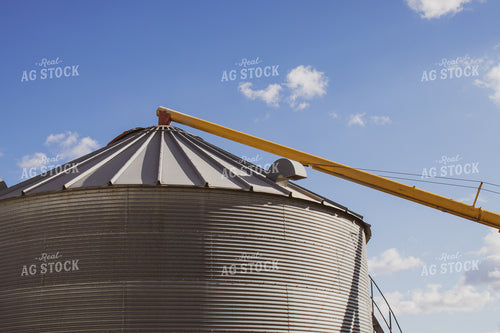 Grain Bin with Auger 67044