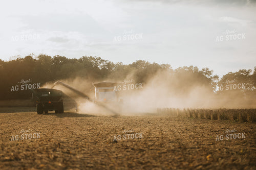 Combine Unloading into Grain Cart 4846