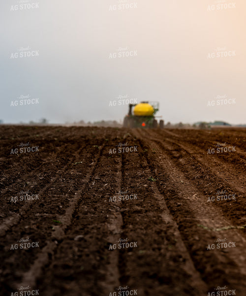 Planting 185213