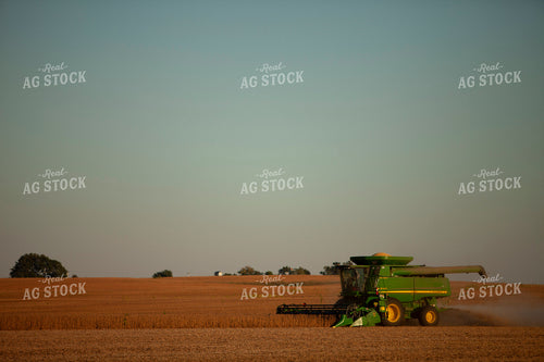Harvest 1796
