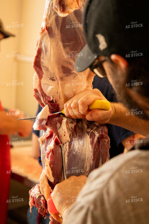 Processing Beef 67505