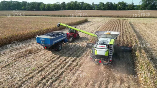 Aerial of Corn Harvest 149047