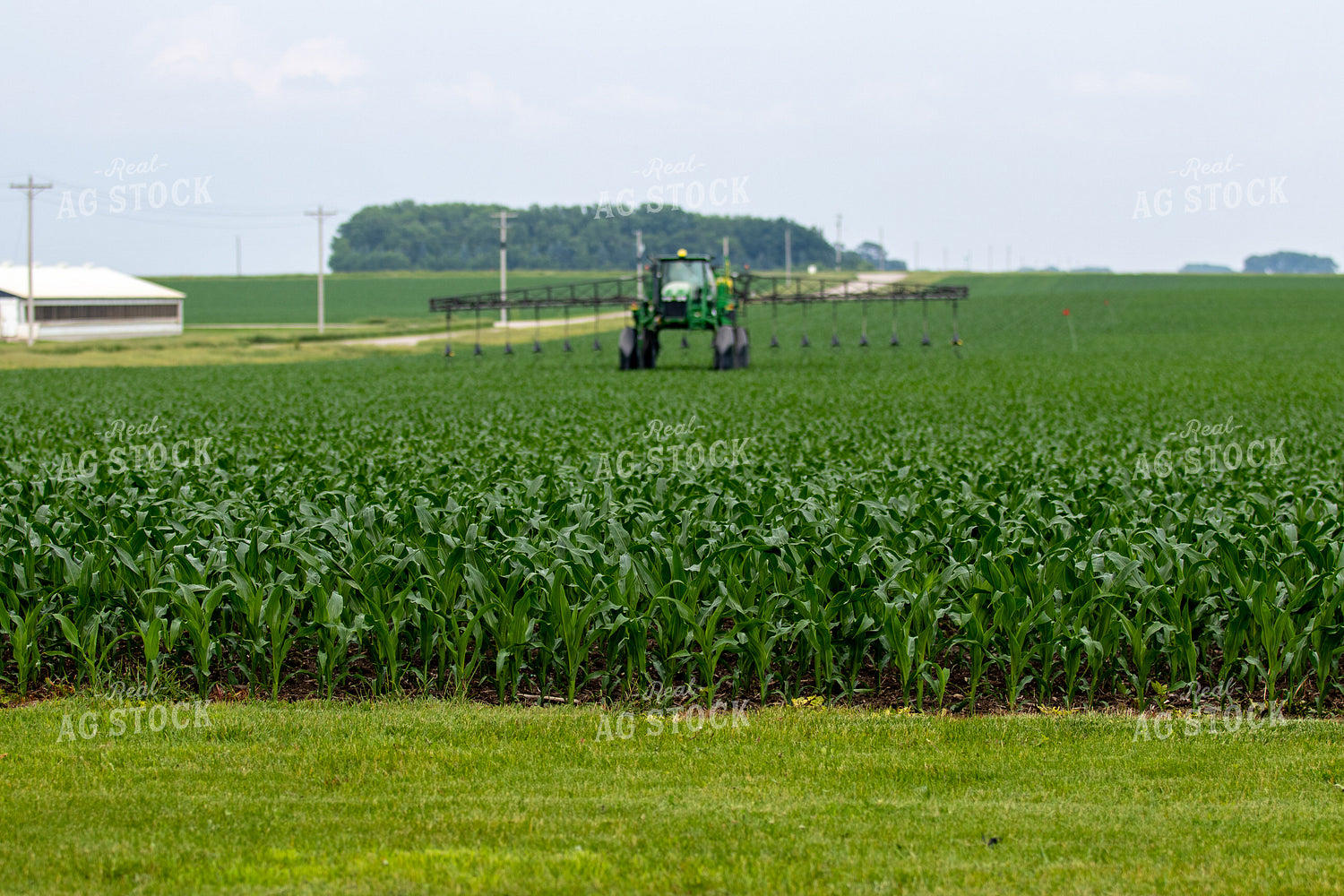 Spraying Corn 257020