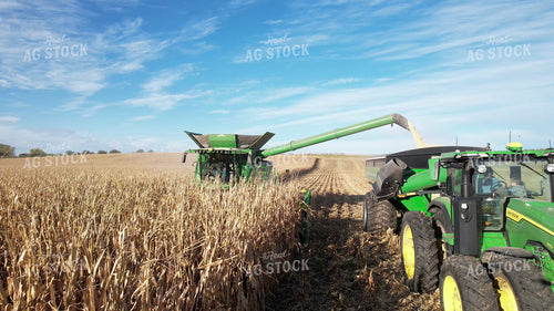 Aerial of Harvesting White Corn 65556