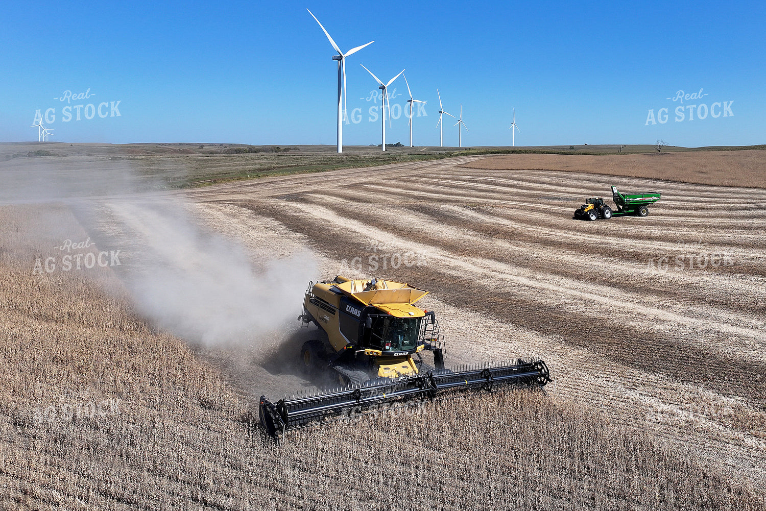 Soybean Harvest 141416