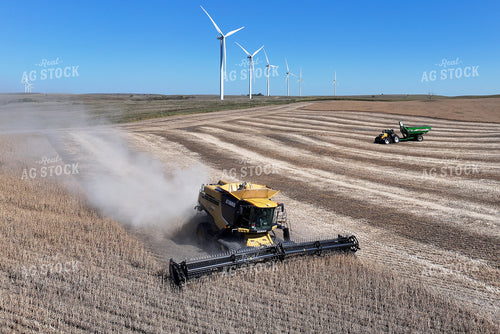 Soybean Harvest 141416
