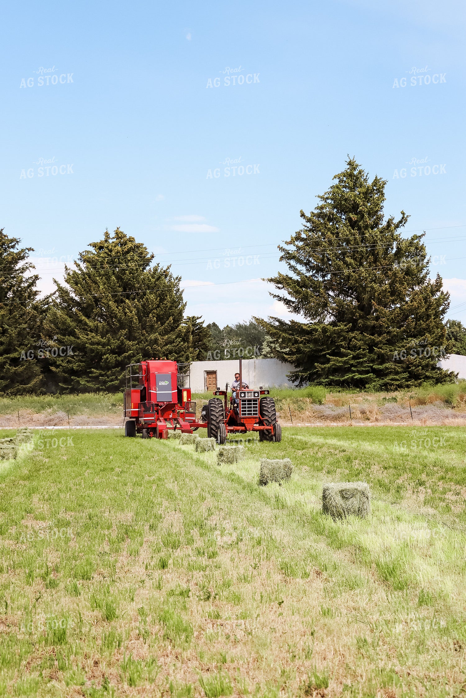 Tractor Baling Hay 83042