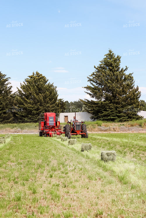Tractor Baling Hay 83042