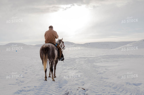 Rancher on Horseback 97124